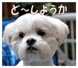 pretty "kuu" sticker #13976015
