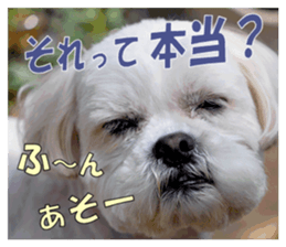 pretty "kuu" sticker #13976016