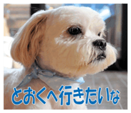 pretty "kuu" sticker #13976017