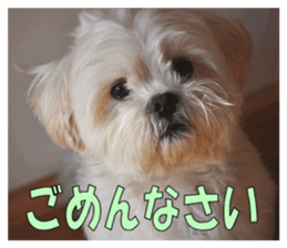 pretty "kuu" sticker #13976018