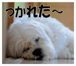 pretty "kuu" sticker #13976019