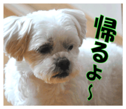 pretty "kuu" sticker #13976020