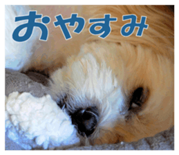 pretty "kuu" sticker #13976021