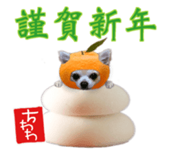 Komaru of a Chihuahua 4 sticker #13976179