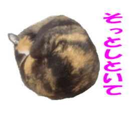 Home of tortoiseshell cat2 sticker #13977066