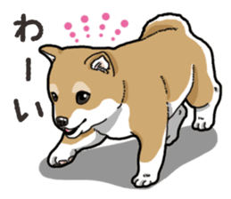 Wanko-Biyori Puppy of Shiba Inu sticker #13977711