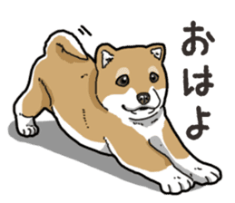 Wanko-Biyori Puppy of Shiba Inu sticker #13977712