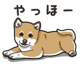 Wanko-Biyori Puppy of Shiba Inu sticker #13977714
