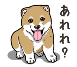 Wanko-Biyori Puppy of Shiba Inu sticker #13977715