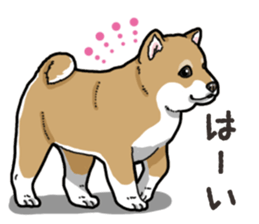 Wanko-Biyori Puppy of Shiba Inu sticker #13977716