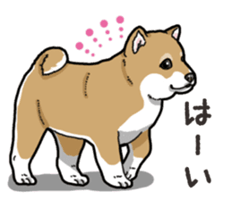 Wanko-Biyori Puppy of Shiba Inu sticker #13977716