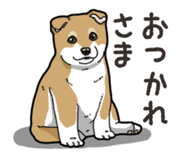 Wanko-Biyori Puppy of Shiba Inu sticker #13977717