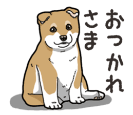 Wanko-Biyori Puppy of Shiba Inu sticker #13977717