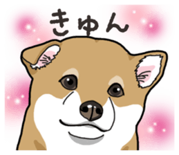 Wanko-Biyori Puppy of Shiba Inu sticker #13977718