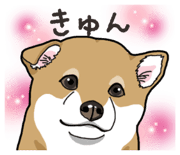 Wanko-Biyori Puppy of Shiba Inu sticker #13977718