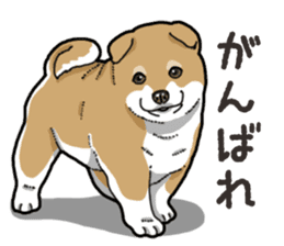 Wanko-Biyori Puppy of Shiba Inu sticker #13977719