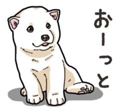 Wanko-Biyori Puppy of Shiba Inu sticker #13977722