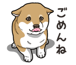 Wanko-Biyori Puppy of Shiba Inu sticker #13977724
