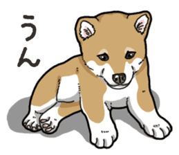 Wanko-Biyori Puppy of Shiba Inu sticker #13977726