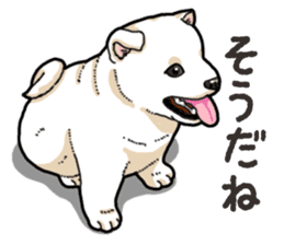 Wanko-Biyori Puppy of Shiba Inu sticker #13977728