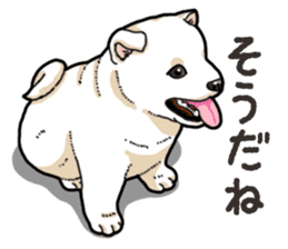 Wanko-Biyori Puppy of Shiba Inu sticker #13977728