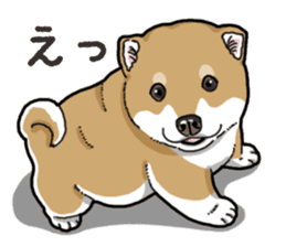 Wanko-Biyori Puppy of Shiba Inu sticker #13977730