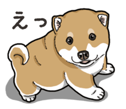 Wanko-Biyori Puppy of Shiba Inu sticker #13977730