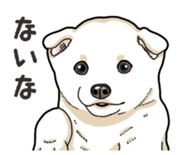 Wanko-Biyori Puppy of Shiba Inu sticker #13977732