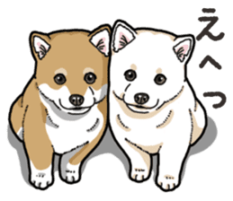 Wanko-Biyori Puppy of Shiba Inu sticker #13977734