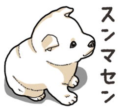 Wanko-Biyori Puppy of Shiba Inu sticker #13977735