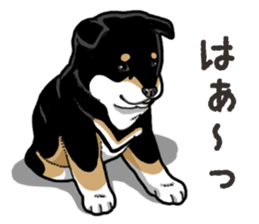 Wanko-Biyori Puppy of Shiba Inu sticker #13977736