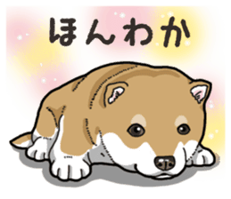 Wanko-Biyori Puppy of Shiba Inu sticker #13977740
