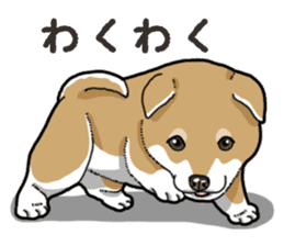 Wanko-Biyori Puppy of Shiba Inu sticker #13977742