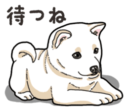 Wanko-Biyori Puppy of Shiba Inu sticker #13977743