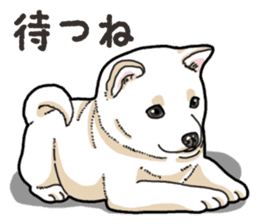 Wanko-Biyori Puppy of Shiba Inu sticker #13977743
