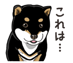 Wanko-Biyori Puppy of Shiba Inu sticker #13977744