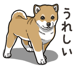 Wanko-Biyori Puppy of Shiba Inu sticker #13977745