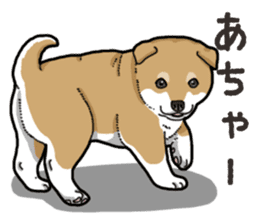 Wanko-Biyori Puppy of Shiba Inu sticker #13977746