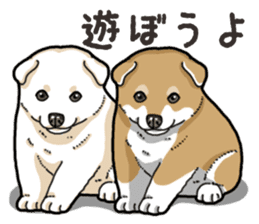 Wanko-Biyori Puppy of Shiba Inu sticker #13977747