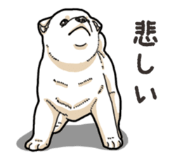 Wanko-Biyori Puppy of Shiba Inu sticker #13977748