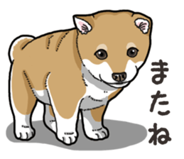 Wanko-Biyori Puppy of Shiba Inu sticker #13977749