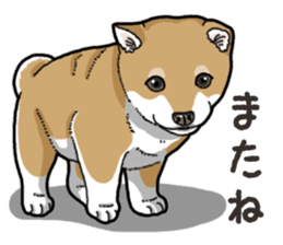Wanko-Biyori Puppy of Shiba Inu sticker #13977749