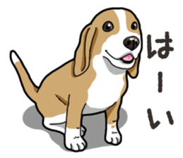 Wanko-Biyori Beagle Lemon sticker #13977870
