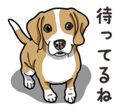 Wanko-Biyori Beagle Lemon sticker #13977872