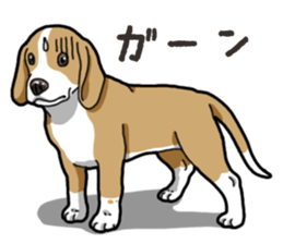 Wanko-Biyori Beagle Lemon sticker #13977876