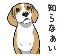 Wanko-Biyori Beagle Lemon sticker #13977882