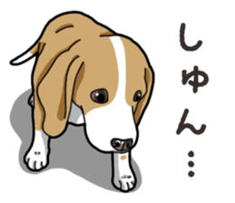 Wanko-Biyori Beagle Lemon sticker #13977887