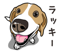 Wanko-Biyori Beagle Lemon sticker #13977906