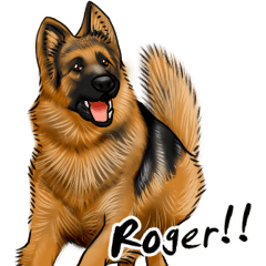 German Shepherd Dogs. Part2.