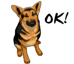 German Shepherd Dogs. Part2. sticker #13979462